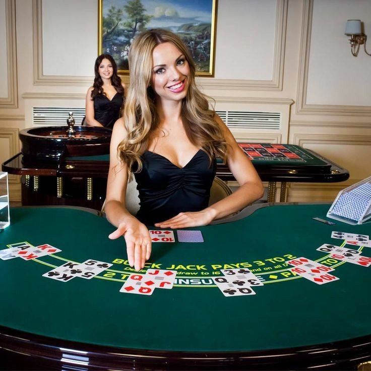 djbet77 djbet77